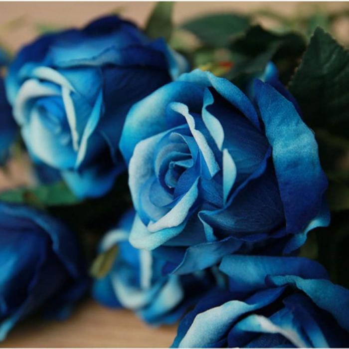 Bouquet de 50 roses bleu royal - Un symbole d'une beauté inaccessible