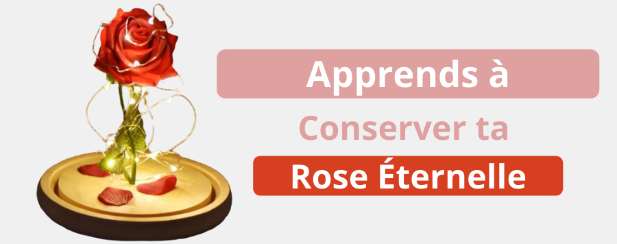 conserver rose eternelle