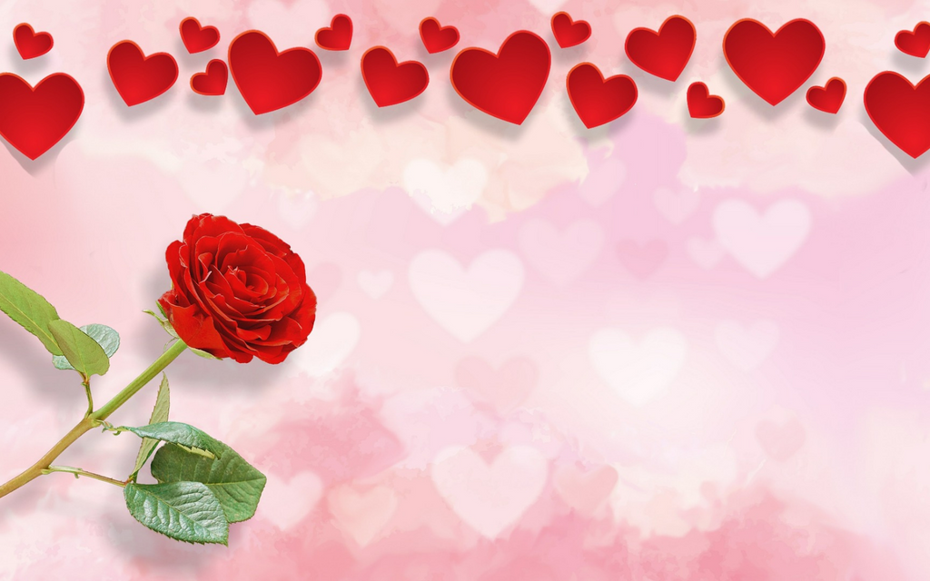 fleur de l'amour éternel