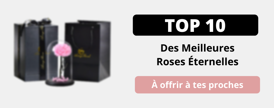 meilleure rose eternelle