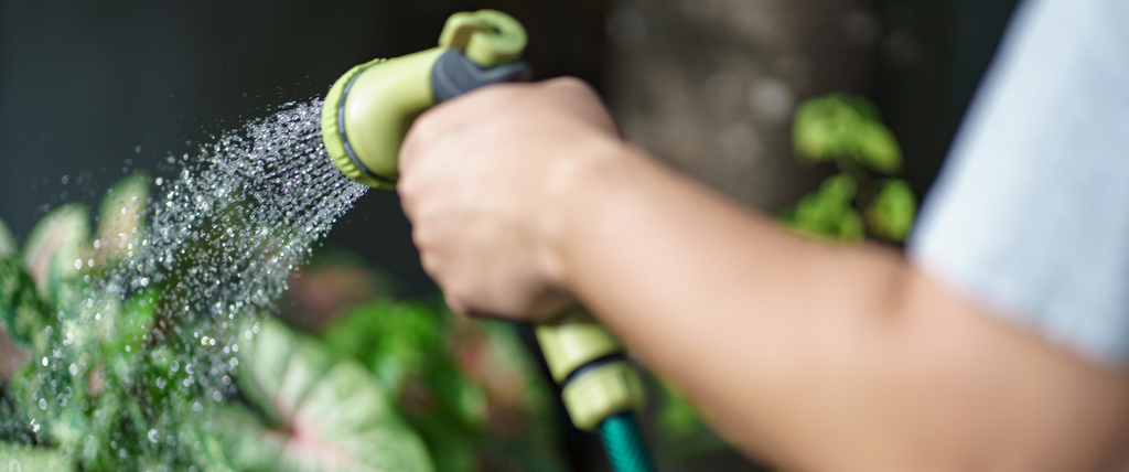 Faire entretenir son jardin gratuitement