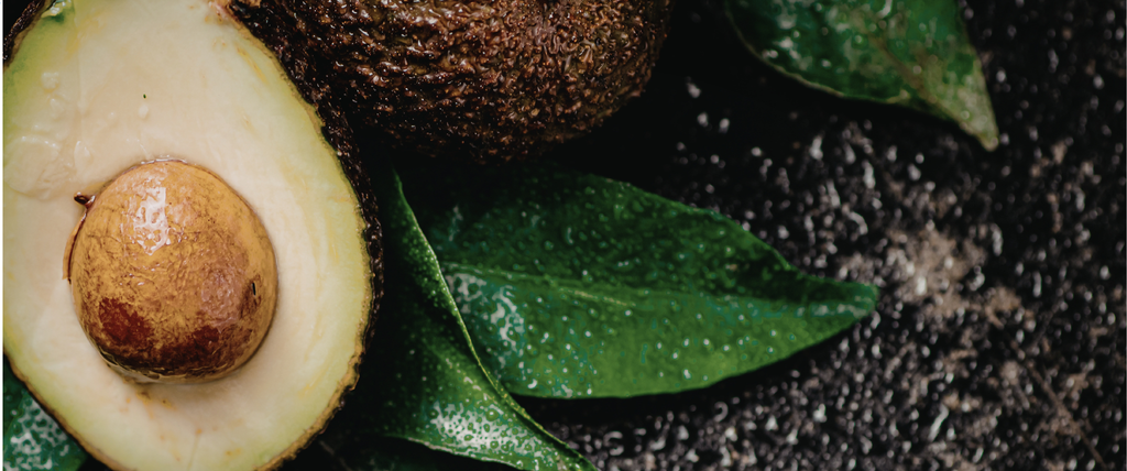 Comment faire pousser un noyau d'avocat