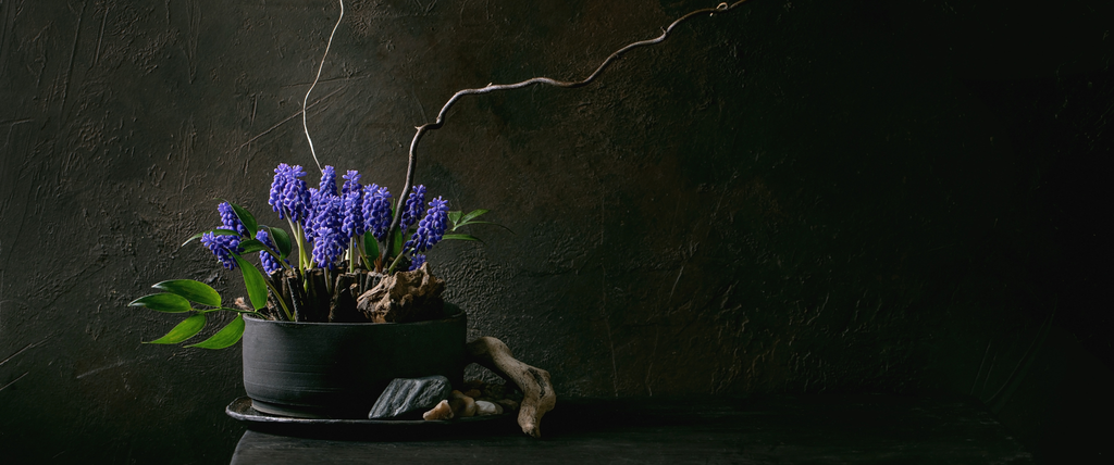 Ikebana tout savoir sur l'art floral japonais