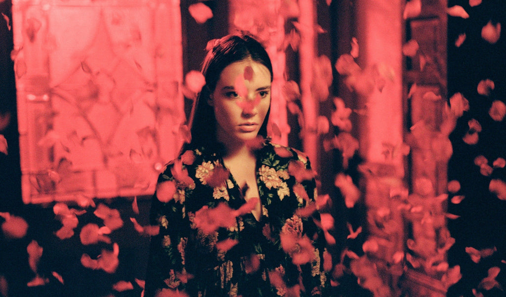 pétales de rose rouge
