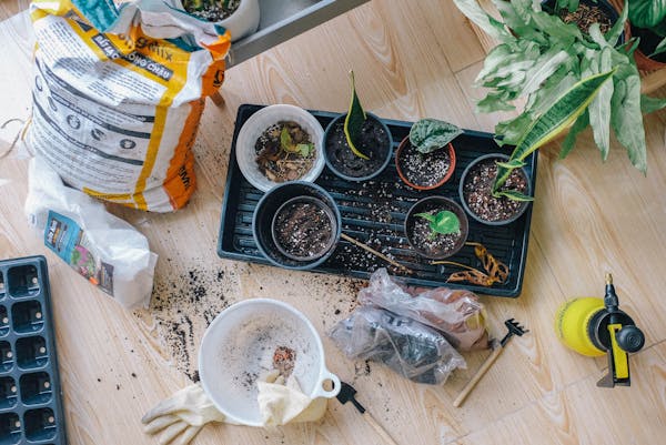 potager interieur