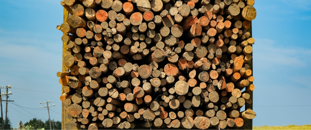 Quel est le prix d'un camion de bois en grume