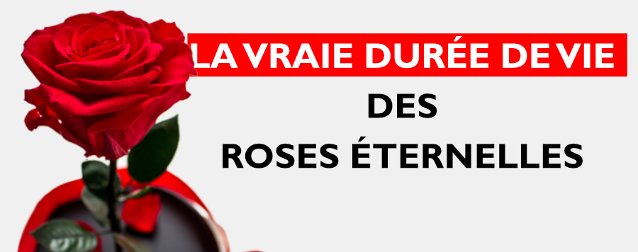 LA VRAIE DURÉE DES ROSES ÉTERNELLES