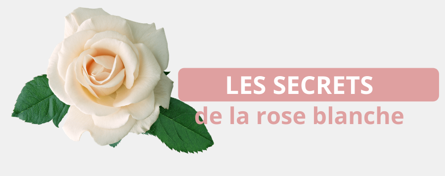 signification rose blanche