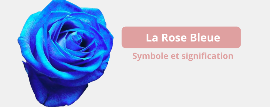 signification rose bleu