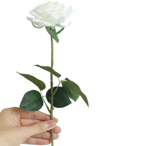 Bouquet de Rose Éternelle Blanche