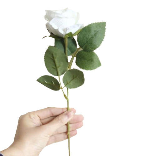 Bouquet de Rose Éternel Blanche | Royaume Éternel