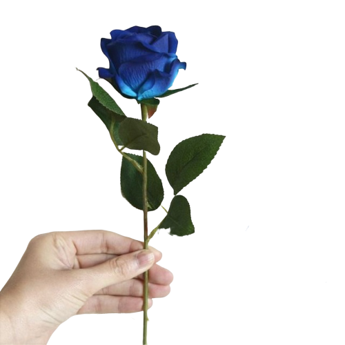 Bouquet de Rose Éternel Bleu | Royaume Éternel