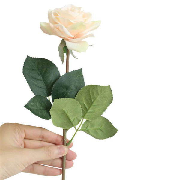 Bouquet de Rose Éternel Champagne | Royaume Éternel