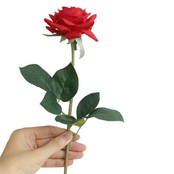 Rose éternelle rouge