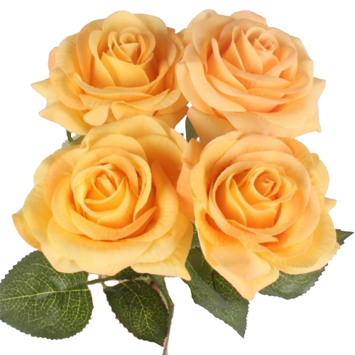 Bouquet de Rose Éternelle Orange