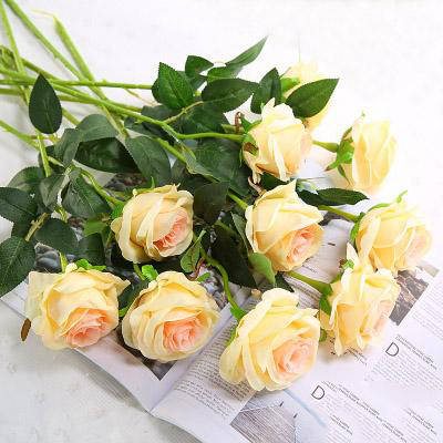 Bouquet de Rose Orange Éternelle | Royaume Éternel