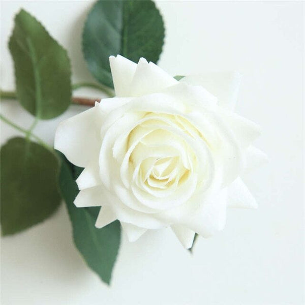 rose eternelle blanche