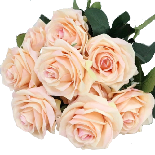 Bouquet Rose Éternelle Orange | Royaume Éternel