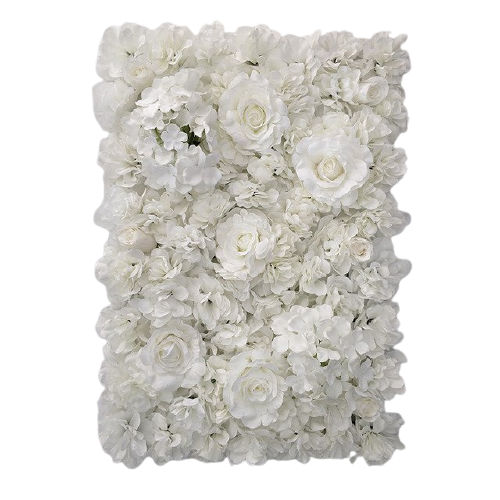 Mur de Roses Blanches