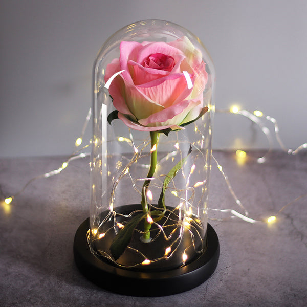 rose eternelle lumineuse
