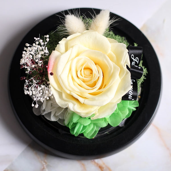 petale de rose jaune