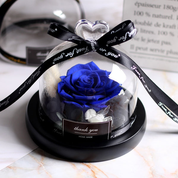 Rose sous Cloche Bleue