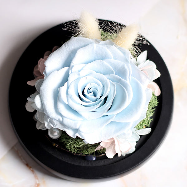 petale de rose bleu ciel