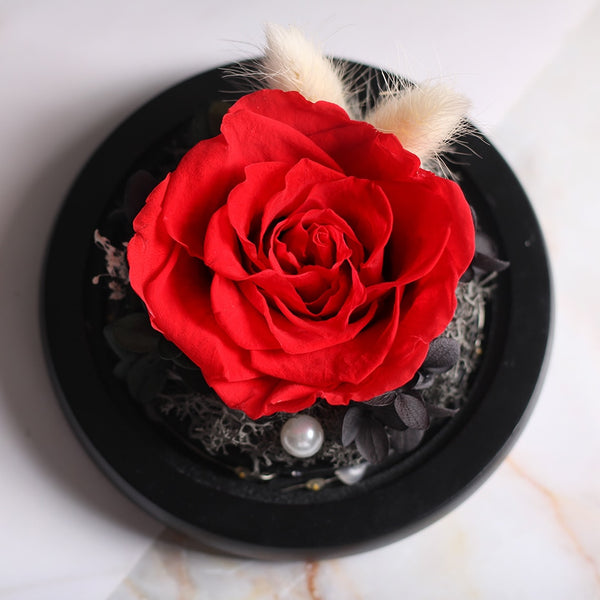 petale de rose sous cloche rouge