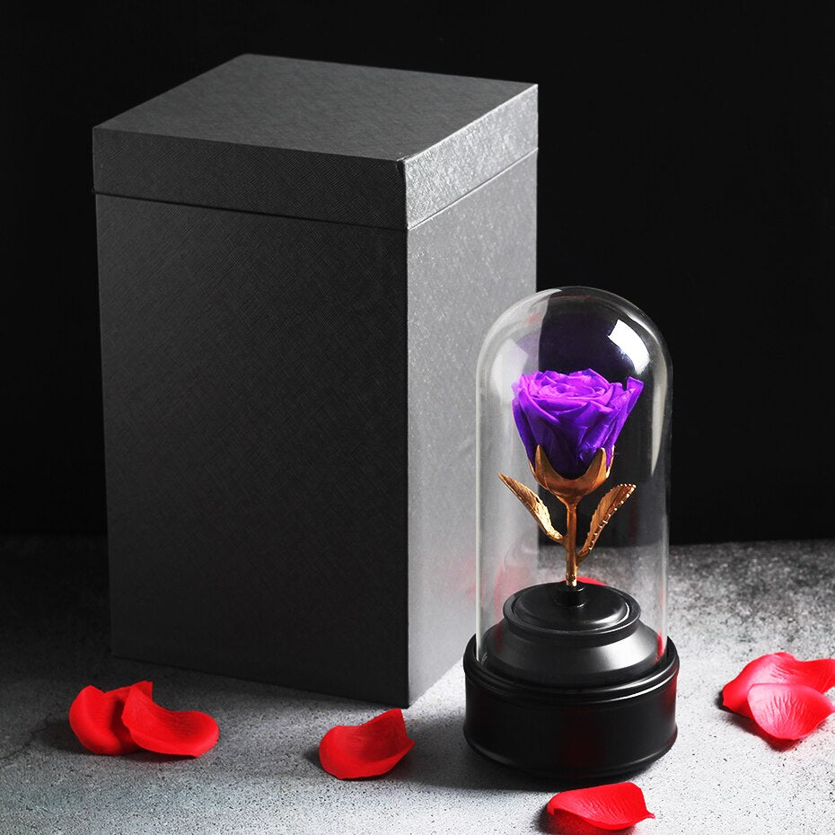 rose eternelle sous cloche musique violette