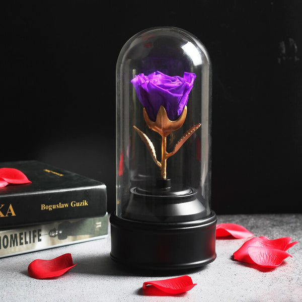 rose eternelle sous cloche violette or
