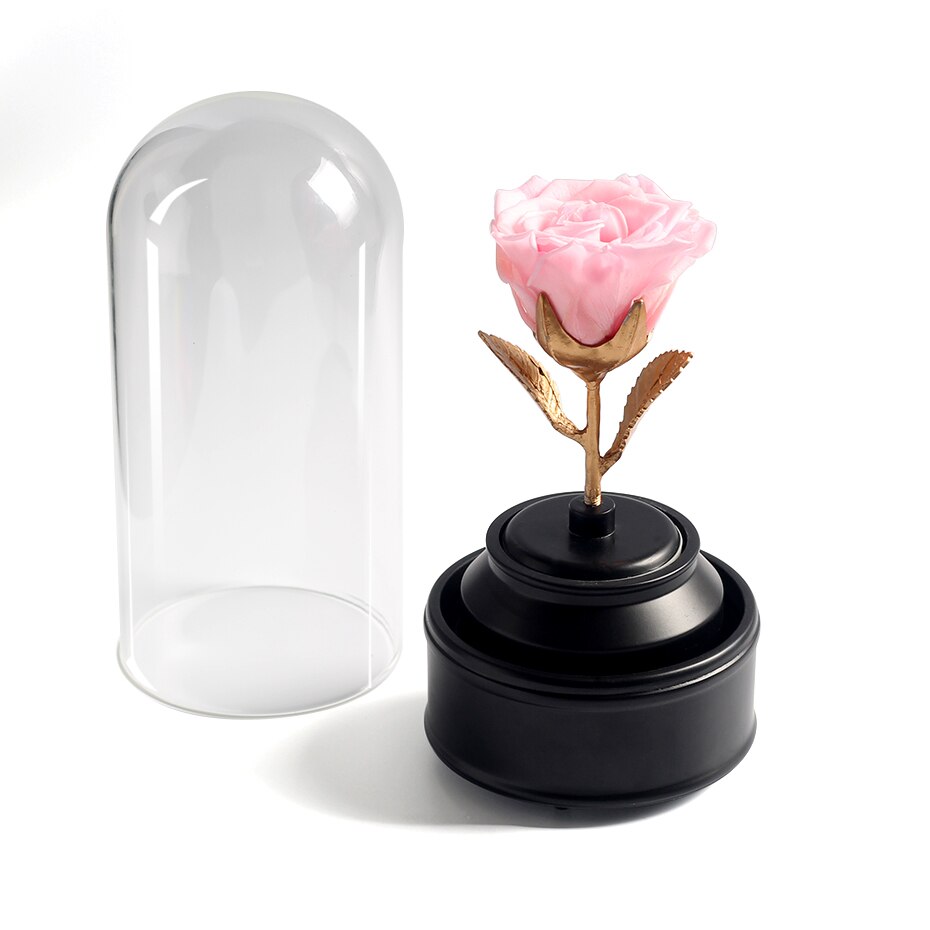 Boite a musique Rose eternelle - sous cloche - The beast
