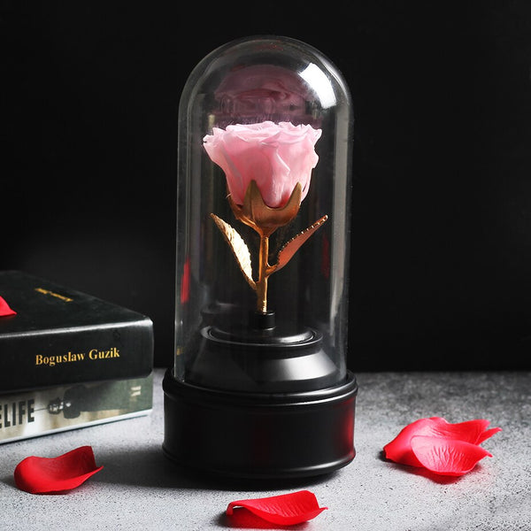 rose eternelle musique