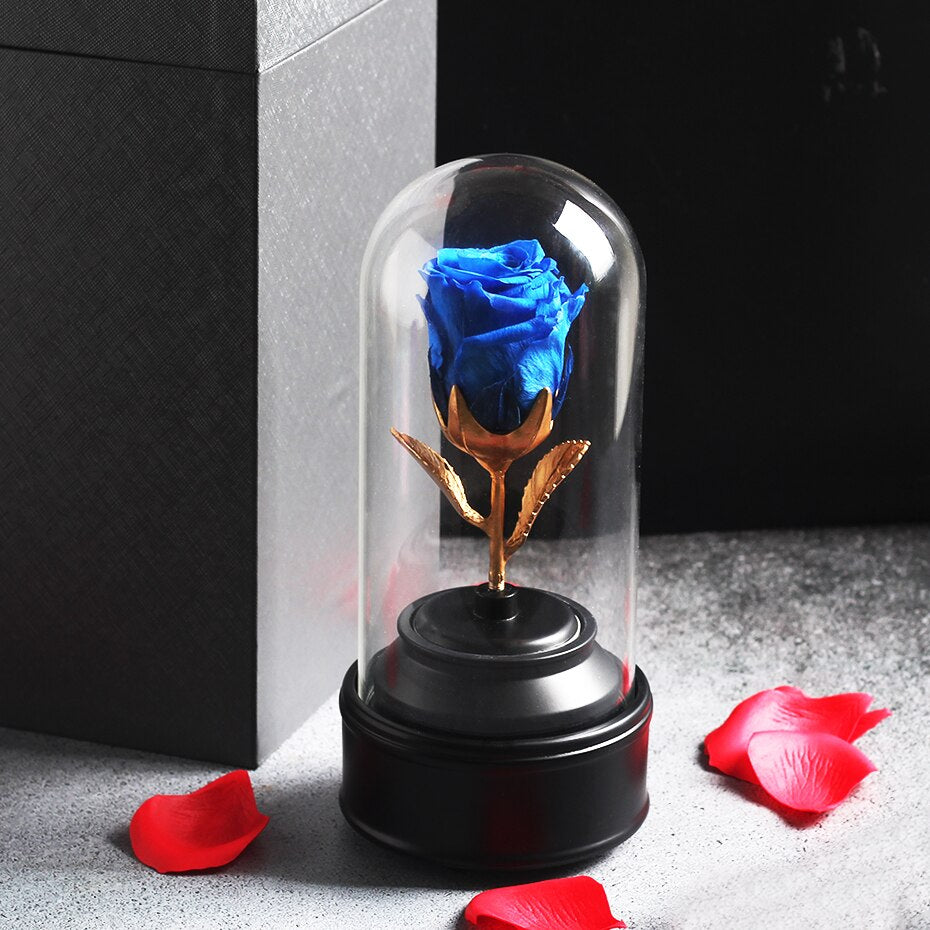rose eternelle sous cloche musique bleue