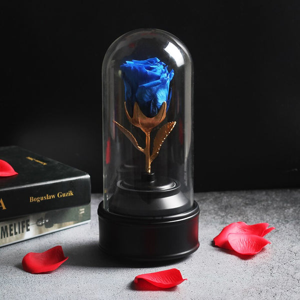 rose eternelle  musicale bleue