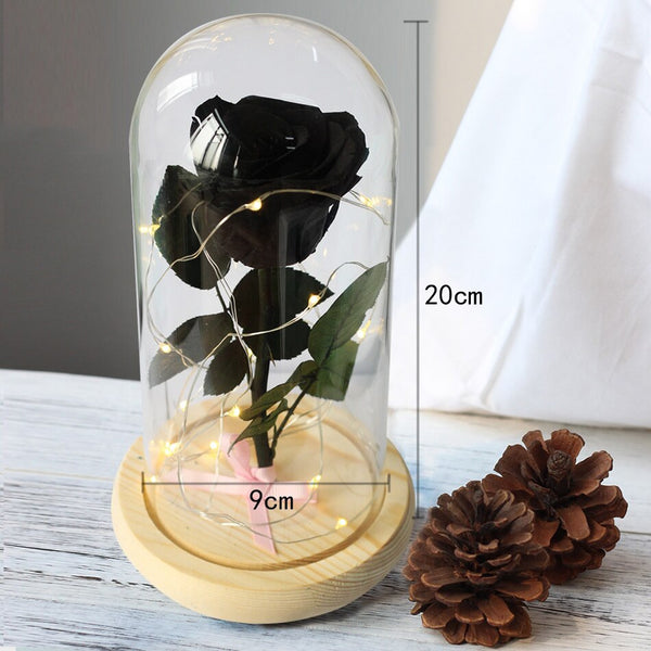 dimensions de la rose eternelle