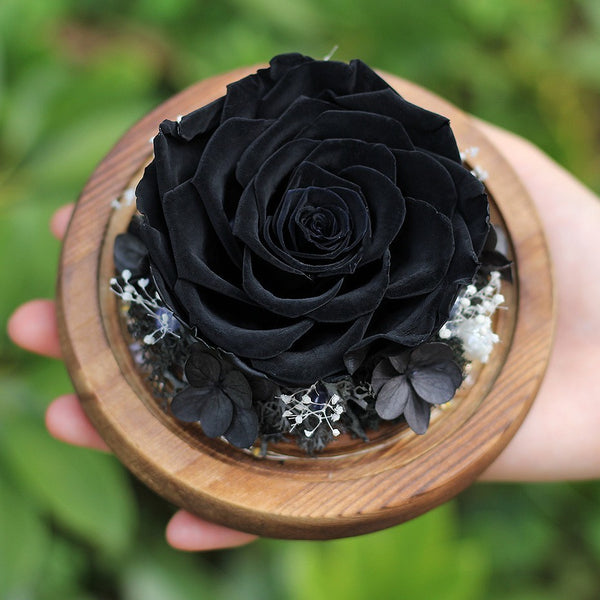 rose eternelle noire