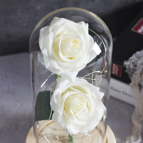 petales de rose eternelle blanche