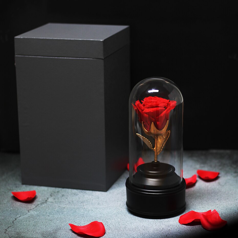 rose eternelle sous cloche musique rouge