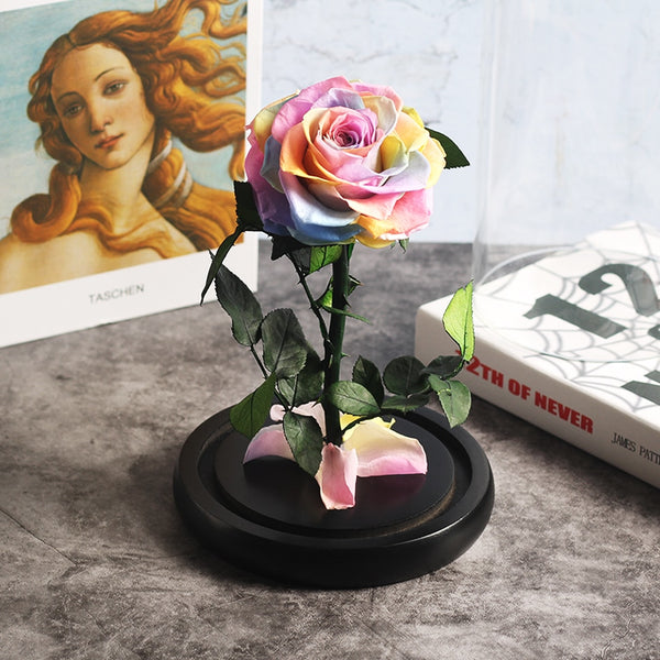 rose eternelle multicolore