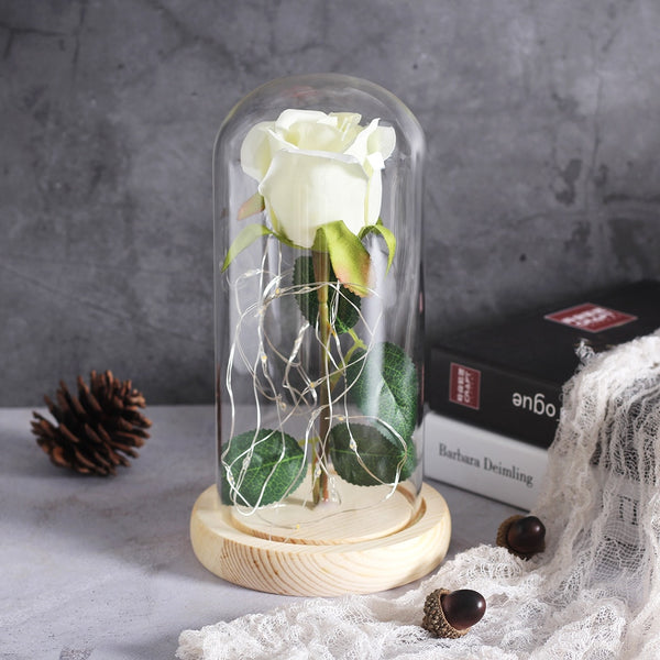 rose eternelle sous cloche blanche