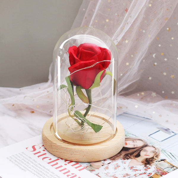 rose eternelle sous cloche limiere rouge