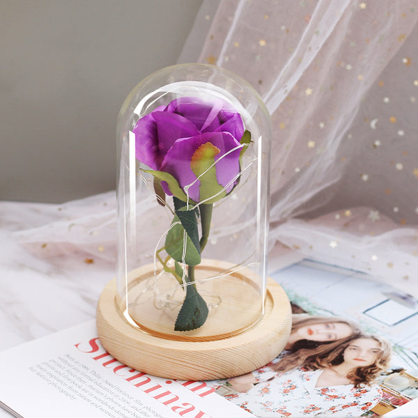 rose eternelle sous cloche lumiere violette