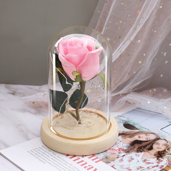 rose eternelle sous cloche lumiere rose