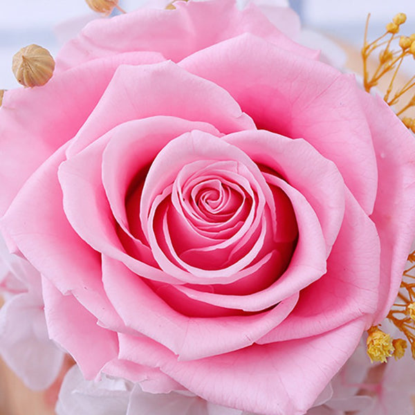 petale rose stabilisee