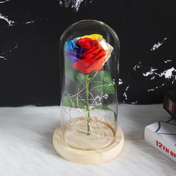 rose eternelle sous cloche