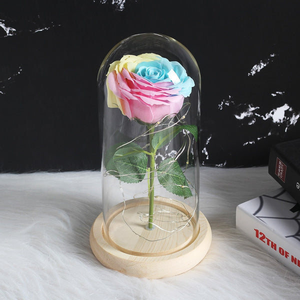 rose eternelle sous cloche