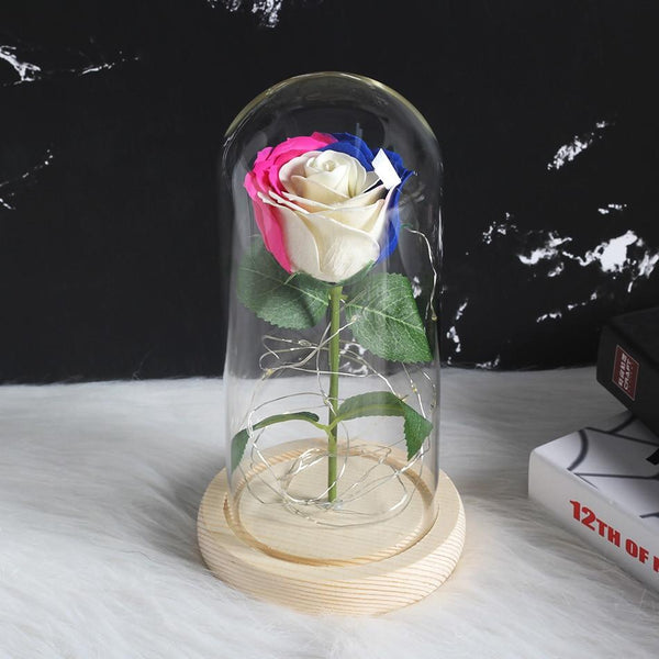rose eternelle sous cloche