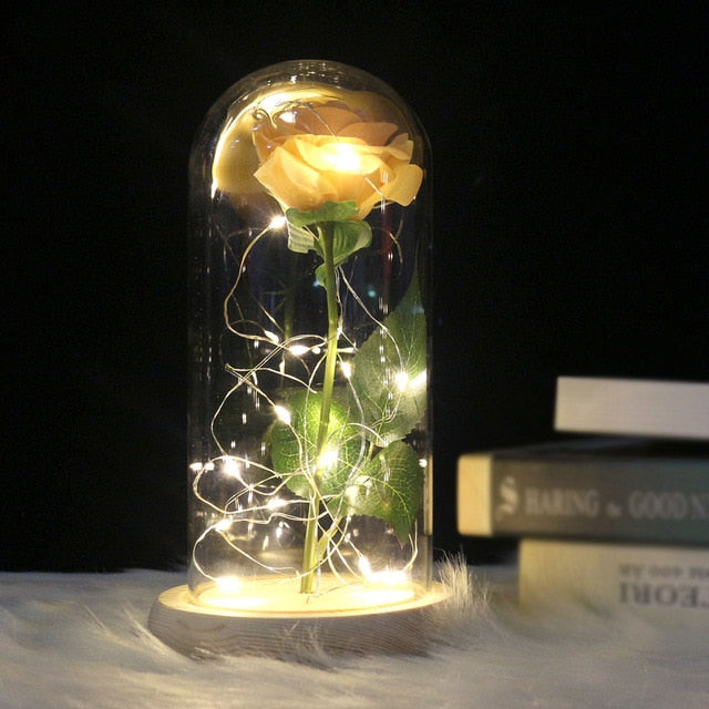 Rose Éternelle Lumineuse