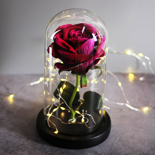 rose eternelle sous cloche led