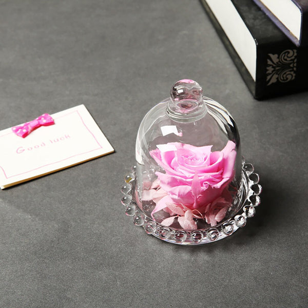 vraie rose eternelle sous cloche